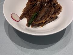 -沪碟·精菜坊(闵行店)