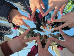 -黄海国家森林公园