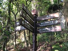 -铁山坪森林公园