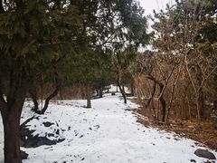 -北京西山国家森林公园