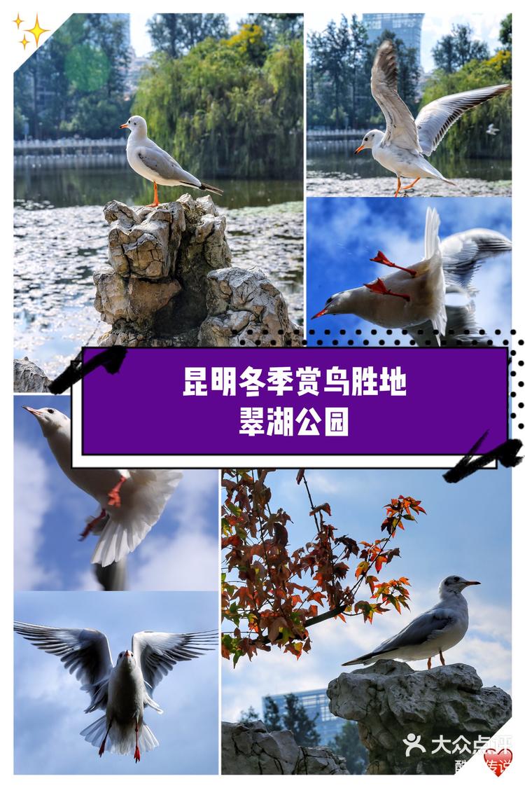 昆明翠湖公园地址图片