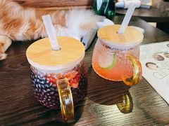 -蓝鲸·缅因猫舍