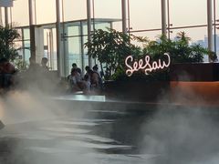 -Seesaw Coffee(朝阳大悦城店)