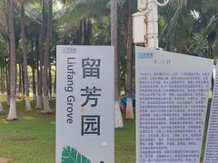 -万绿园