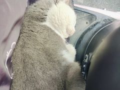 -老乡鸡(滨湖新区徽杰苑店)