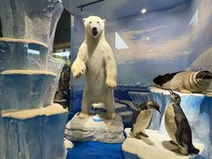 -国家自然博物馆