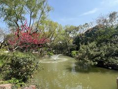 -上海醉白池公园