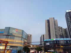 -树夏(金楠天街店)