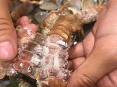 -老东镇啤酒屋海鲜加工·蒸汽海鲜·海鲜烧烤(台东店)