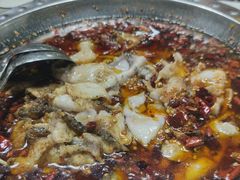 -陈生记黑鱼馆·20年活鱼现杀(宁波鼓楼店)