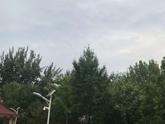-丰台花园