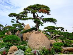 -罗红摄影艺术馆