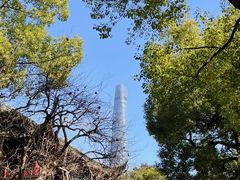 -豫园