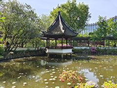 -上海醉白池公园
