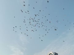 -雍和宫(地铁站)