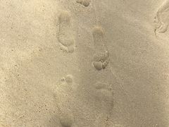 -西涌国际滨海旅游区