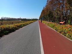 -上海长兴岛郊野公园