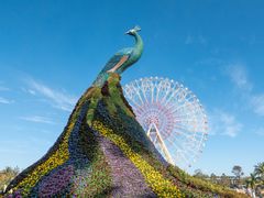 -七彩云南欢乐世界