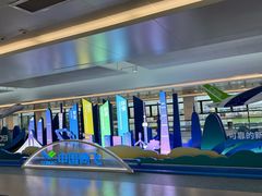 -上海浦东国际机场-T2航站楼