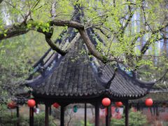 -上海醉白池公园