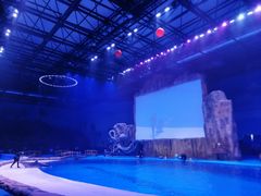 -华夏文旅海洋公园