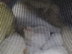 -美联众合动物医院·24h转诊中心