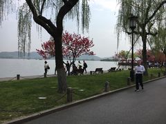 -苏堤停车场