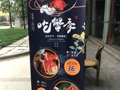 -海桐