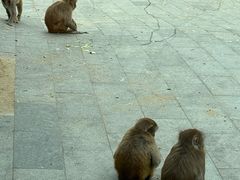 -无锡动物园·太湖欢乐园