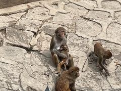 -哈尔滨北方森林动物园