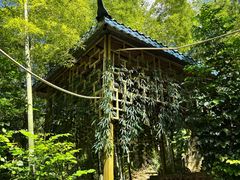 -大本营竹筒饭