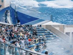-上海海昌海洋公园-停车场
