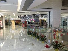 -远洋未来汇