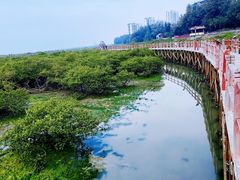 -北海金海湾红树林生态旅游区