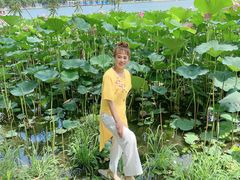 -长春市南湖公园