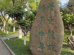 -雁滩公园