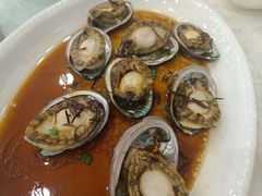 鲍鱼-海龙渔村(万江分店)