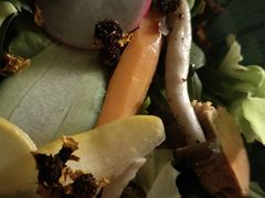 -Hi City·城市之巅