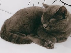 -白夜2D咖啡馆