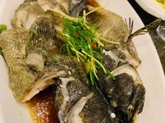 清蒸龙胆鱼-旺达·福州菜(正大广场店)
