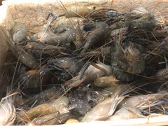 -芭提雅Amporn Seafood自助餐厅