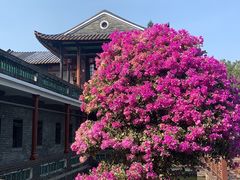 -东莞市可园博物馆