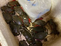 -皮蛋弟砂锅店(总店)