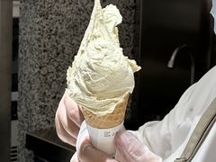 -野人先生Gelato(上海长宁龙之梦店)