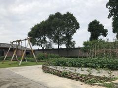 -金谷域澳洲庄园