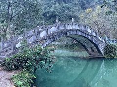 -靖西鹅泉风景区