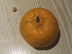 -香坝坝鲜鱼火锅(春熙路店)