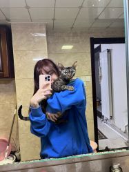 -IN STYLE·全国形象店