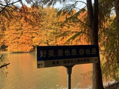 -上海海湾国家森林公园