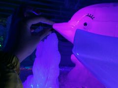 -世界之窗阿尔卑斯冰雪世界